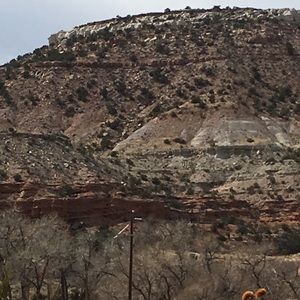 Meet your Posher, Holly